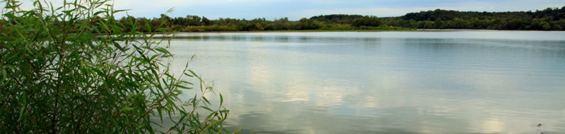 2012TarCreek landscape