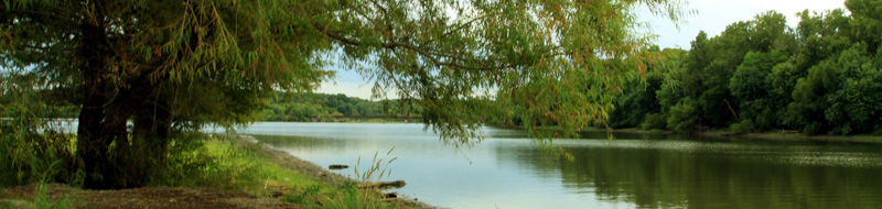 2012TarCreek landscape